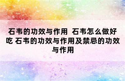 石韦的功效与作用  石韦怎么做好吃 石韦的功效与作用及禁忌的功效与作用